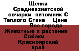 Щенки Среднеазиатской овчарки (питомник С Теплого Стана) › Цена ­ 20 000 - Все города Животные и растения » Собаки   . Красноярский край